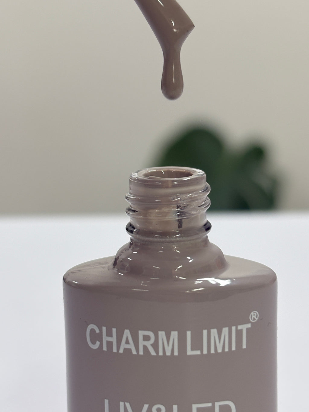 Color Gel CHARM LIMIT 10ml - 77