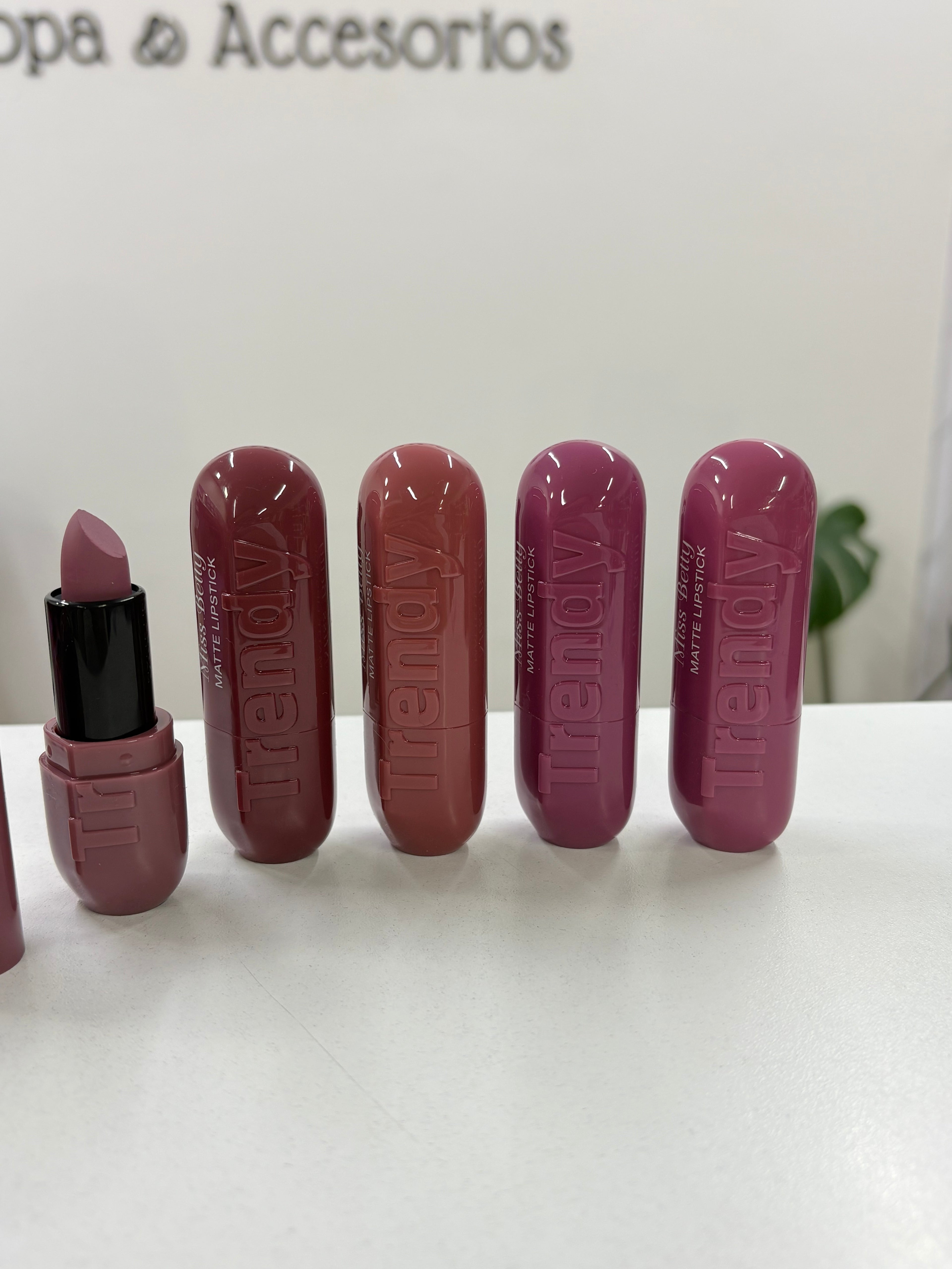 Labial en Barra Matte
