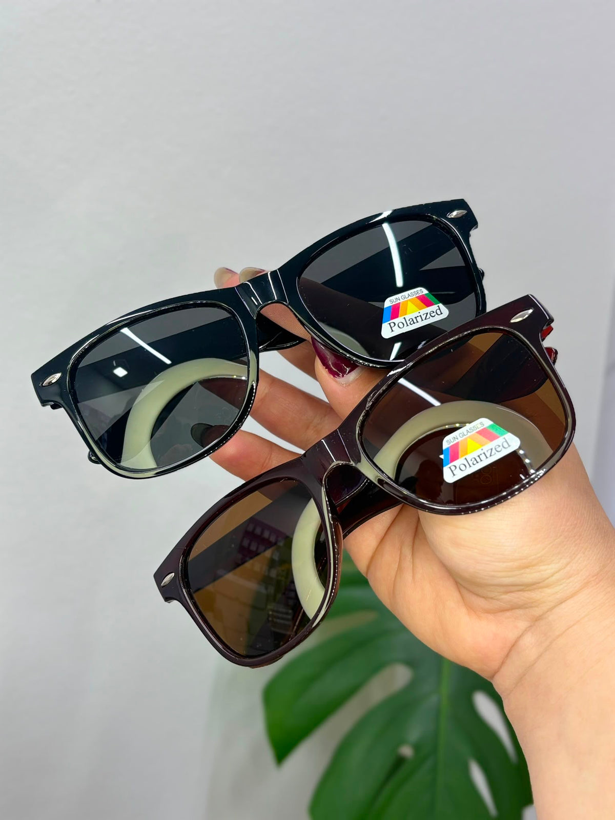 Lentes de Sol 377/379