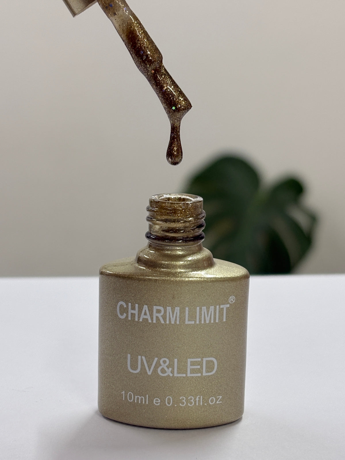 Color Gel CHARM LIMIT 10ml - 33