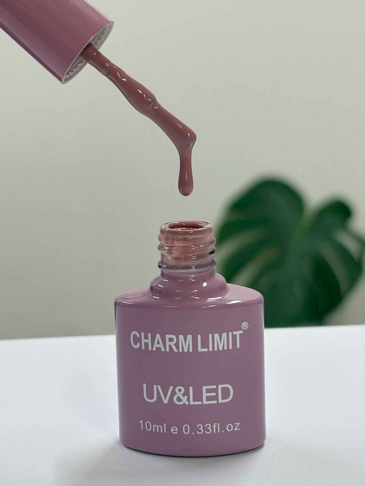 Color Gel CHARM LIMIT 10ml - 14