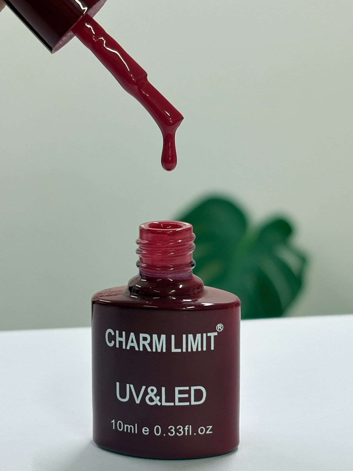 Color Gel CHARM LIMIT 10ml - 28