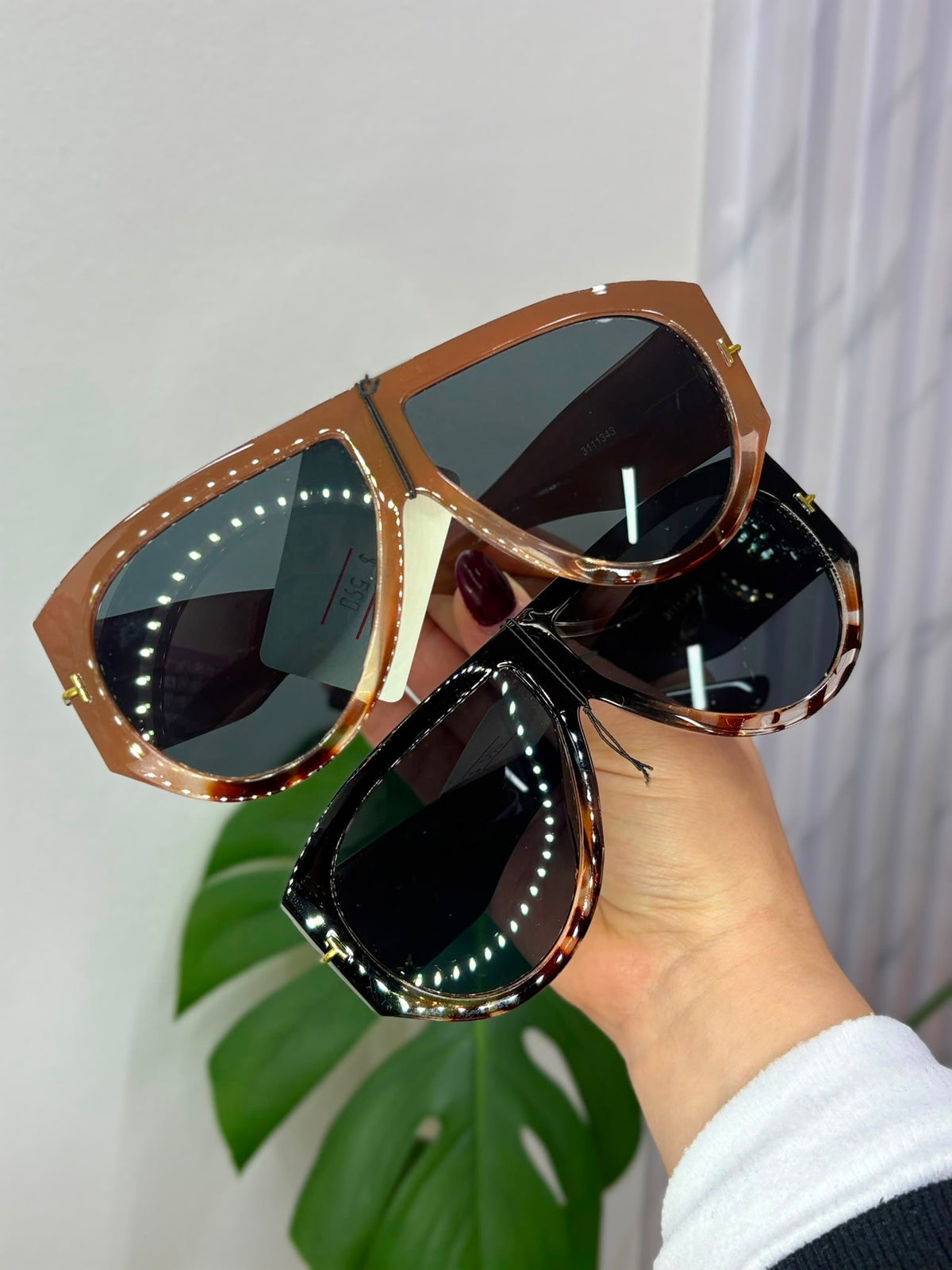 Lentes de Sol 343/344