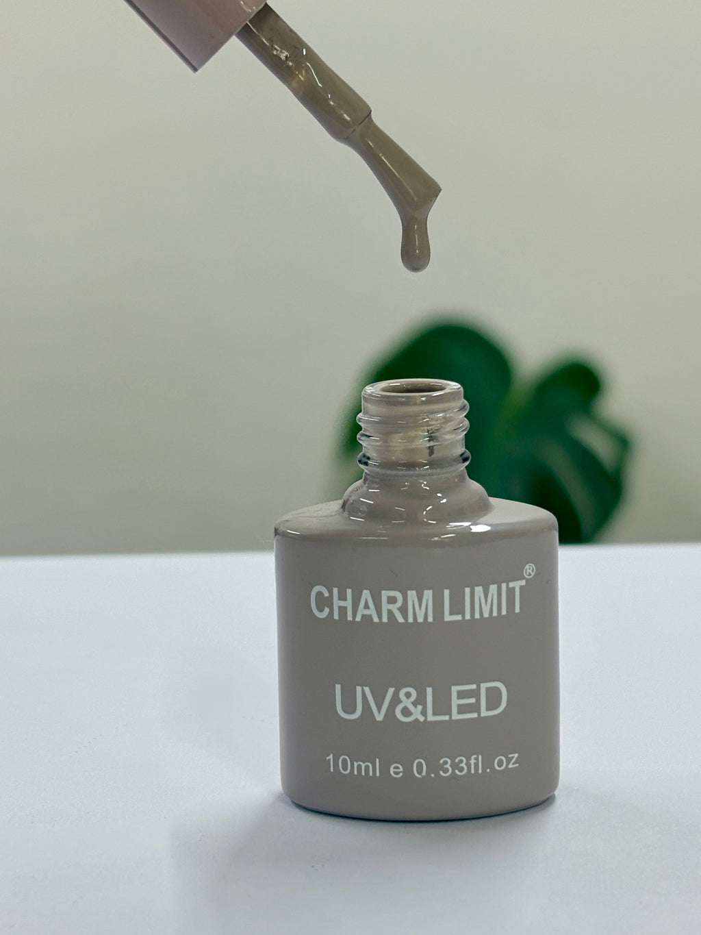Color Gel CHARM LIMIT 10ml - 77