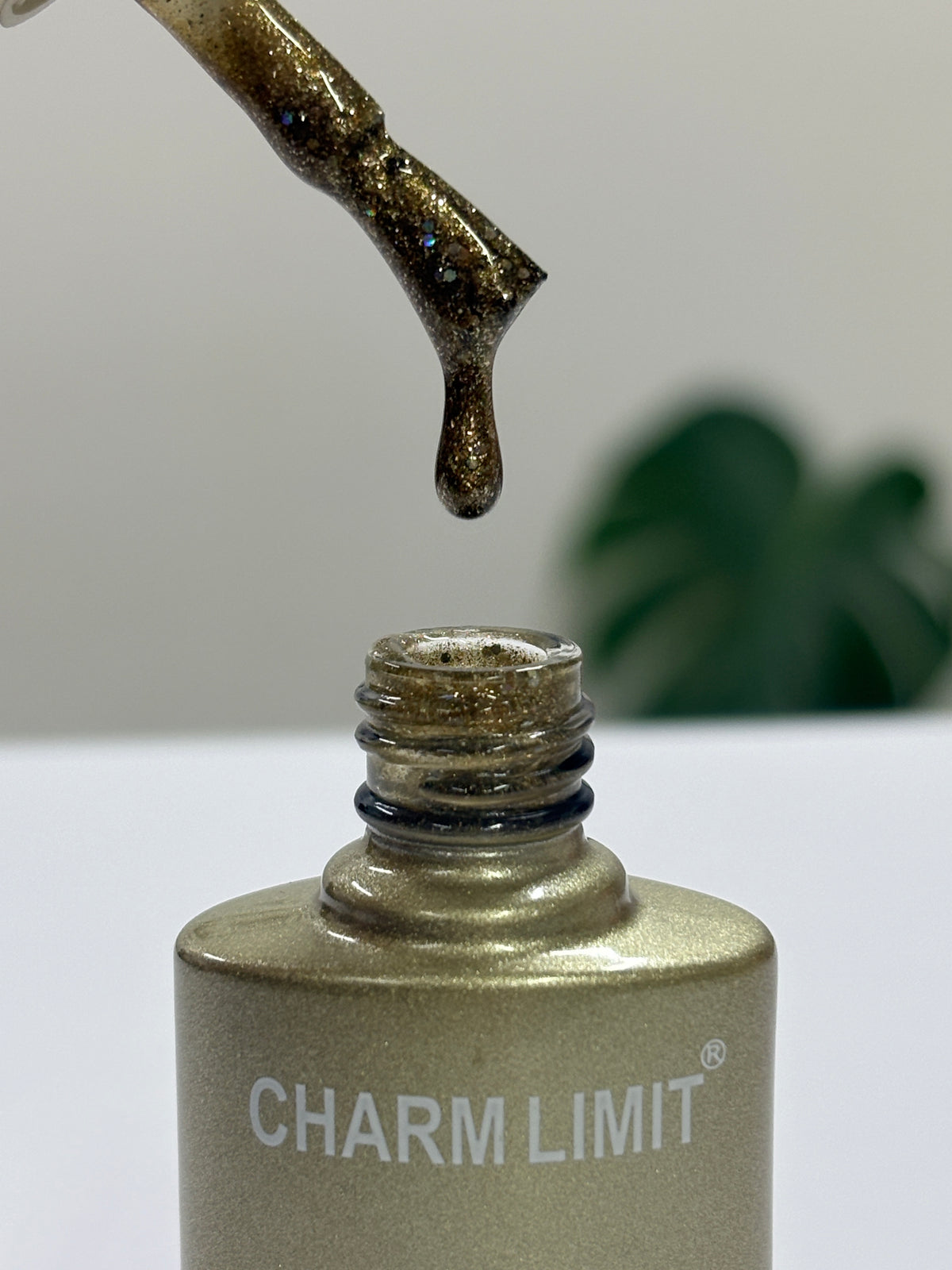 Color Gel CHARM LIMIT 10ml - 33