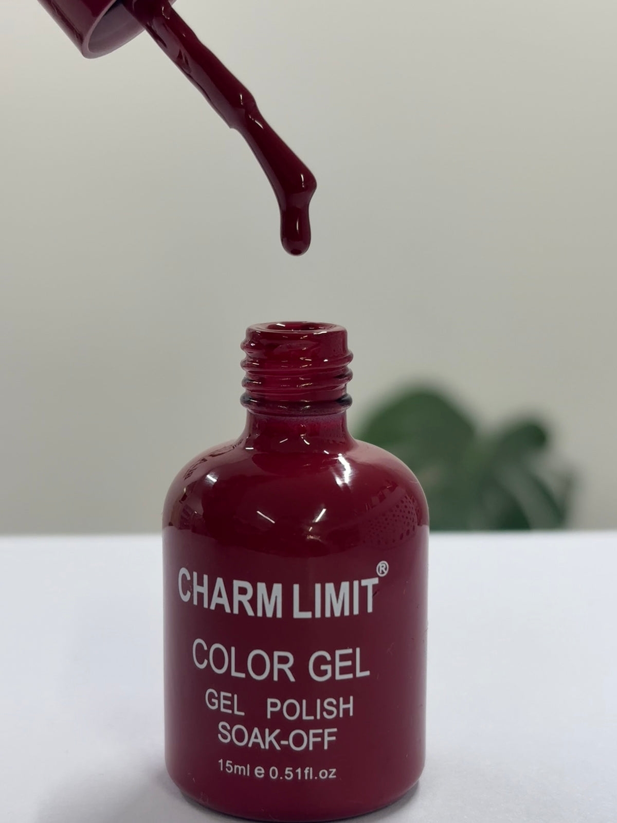 Color Gel CHARM LIMIT 06