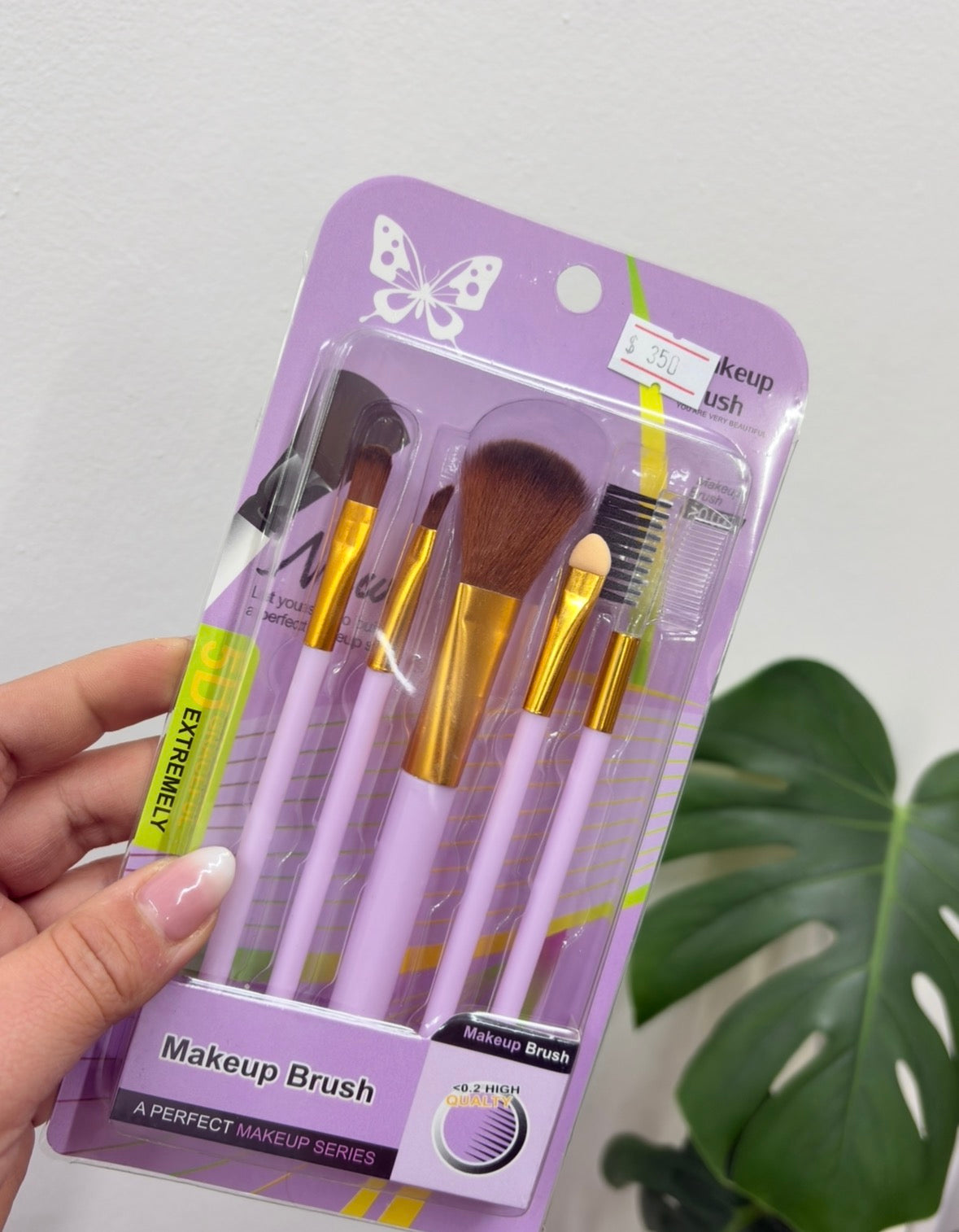 Set de brochas y pinceles