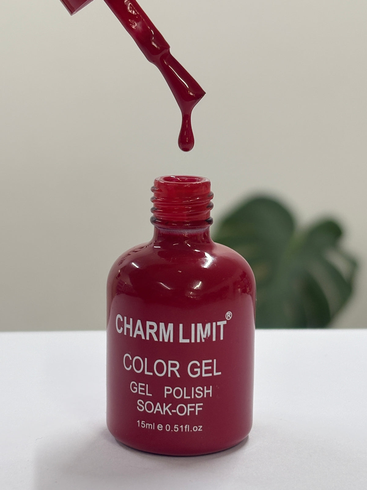 Color Gel CHARM LIMIT 04