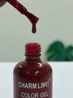 Color Gel CHARM LIMIT 04