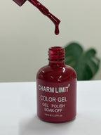 Color Gel CHARM LIMIT 05