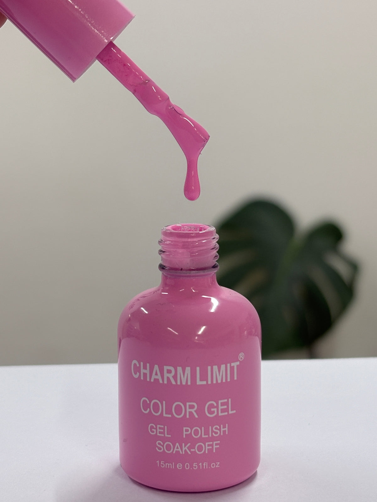 Color Gel CHARM LIMIT 14