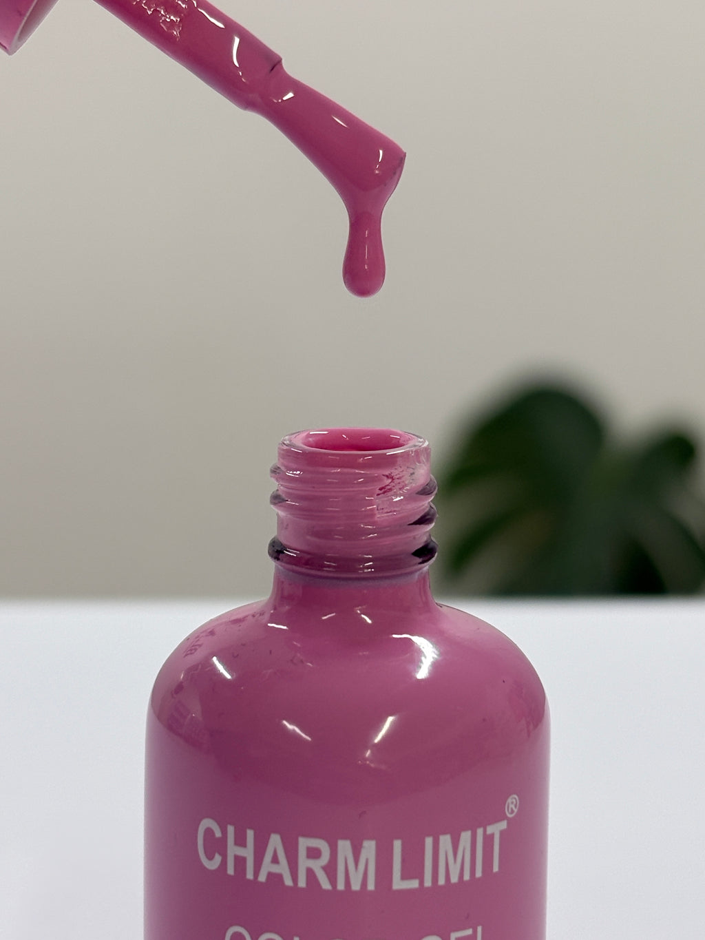Color Gel CHARM LIMIT 15