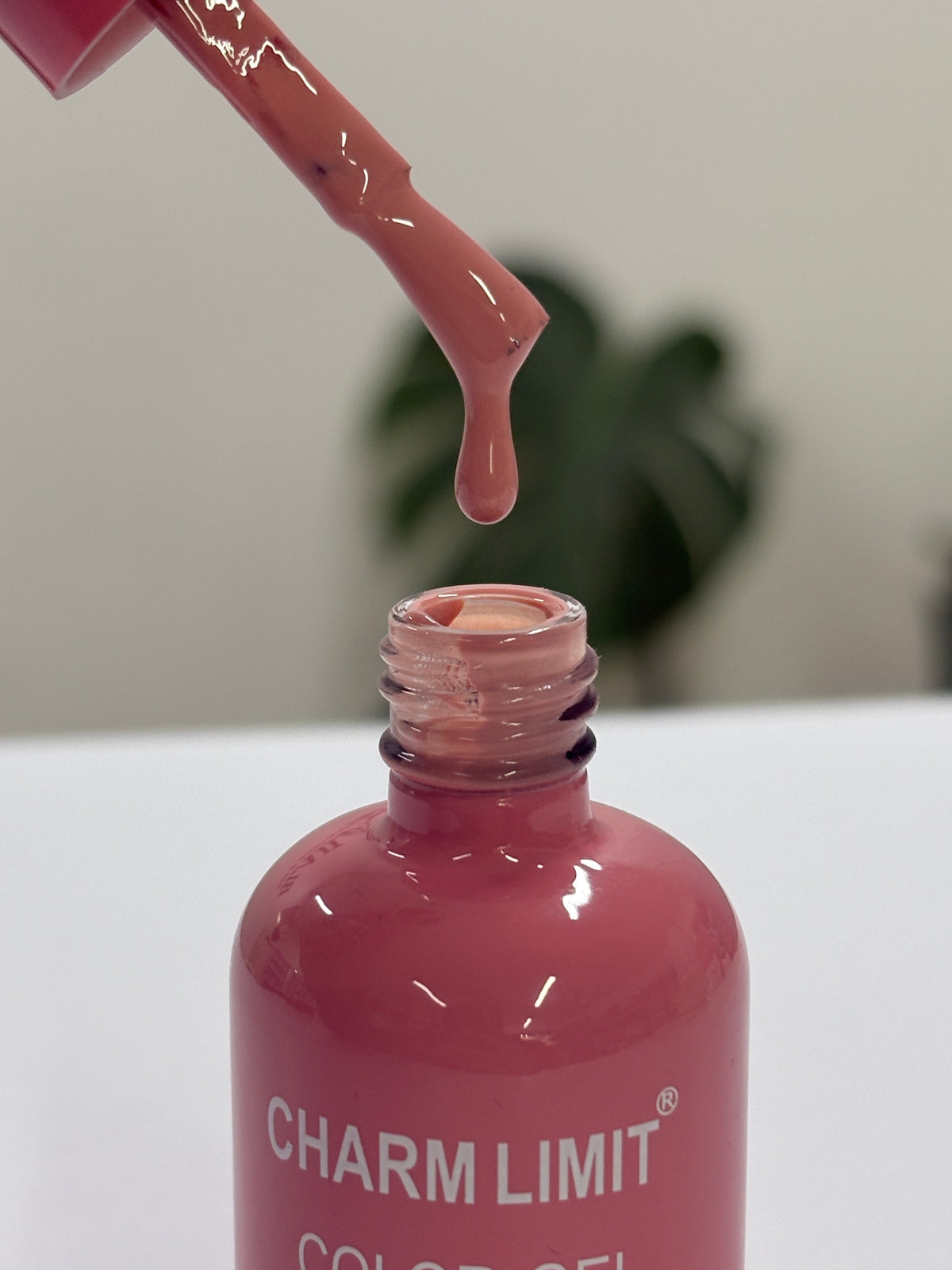 Color Gel CHARM LIMIT 18