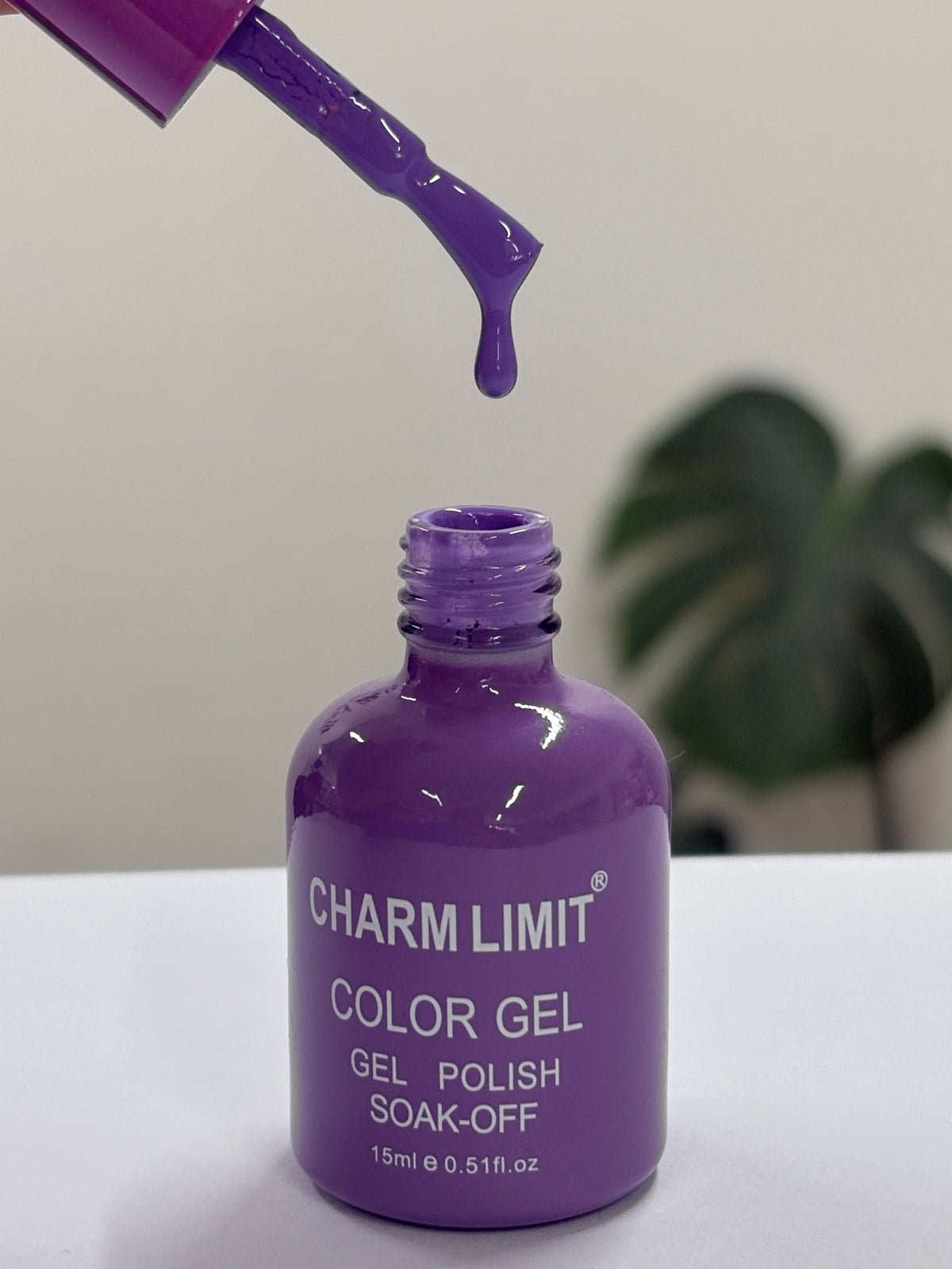 Color Gel CHARM LIMIT 48