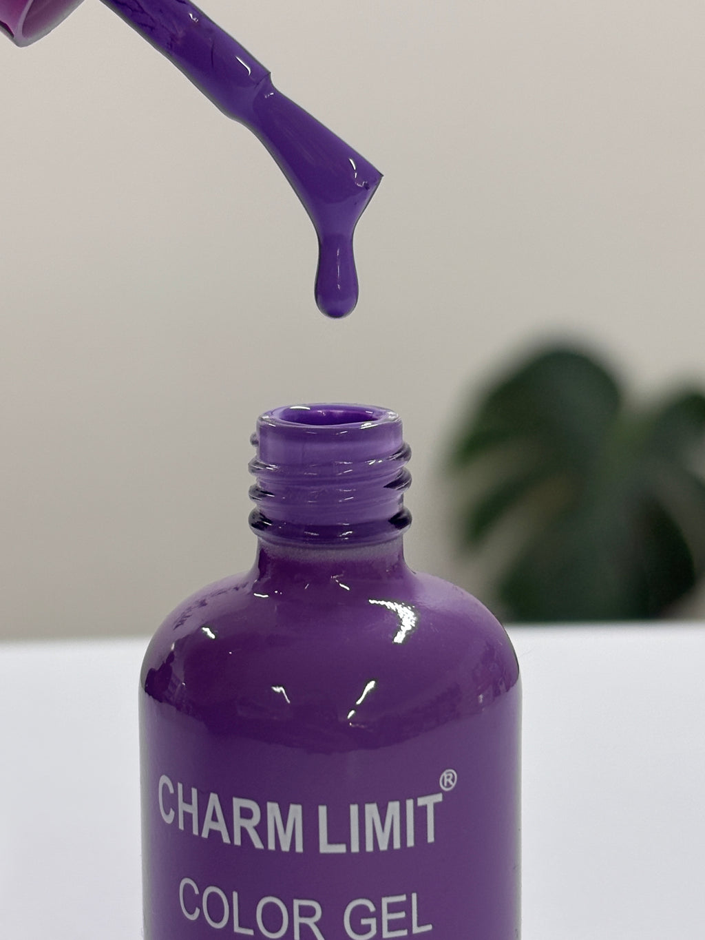Color Gel CHARM LIMIT 48