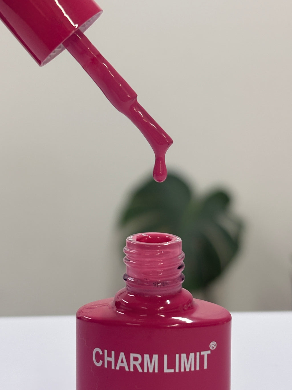 Color Gel CHARM LIMIT 10ml - 104
