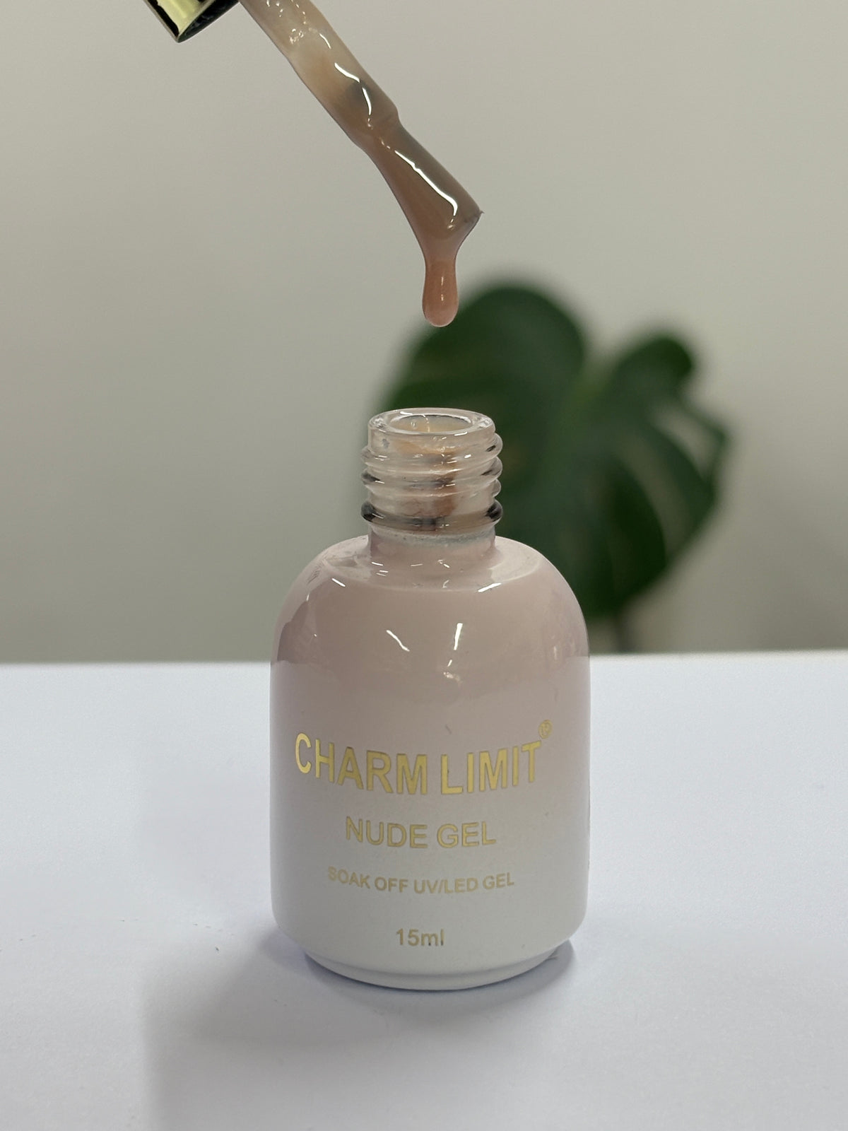 Nude Gel CHARM LIMIT 15ml - 05