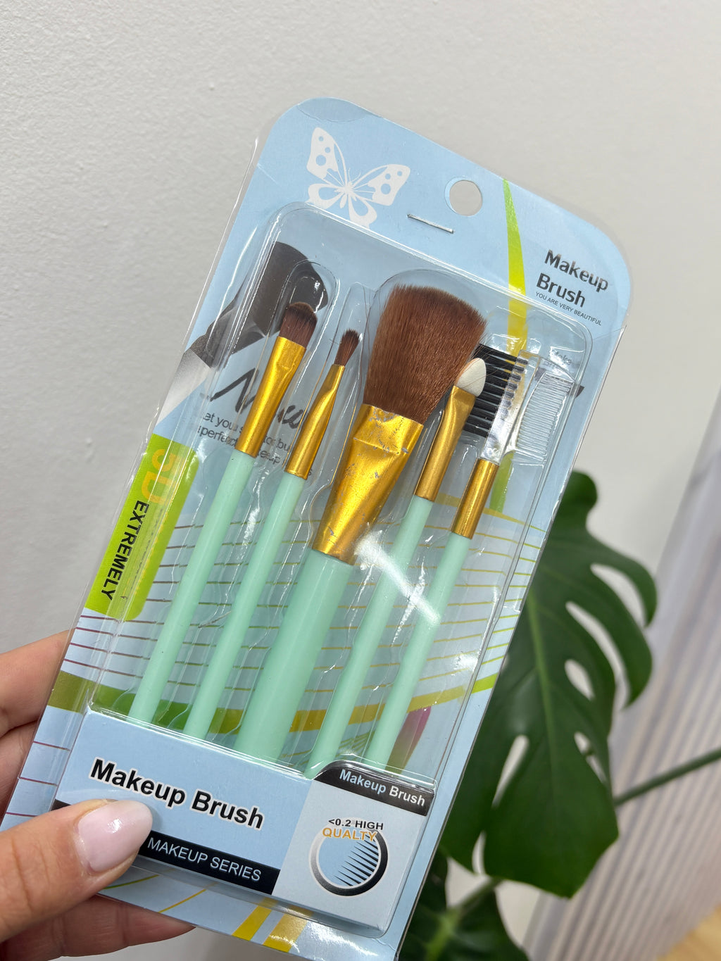 Set de brochas y pinceles