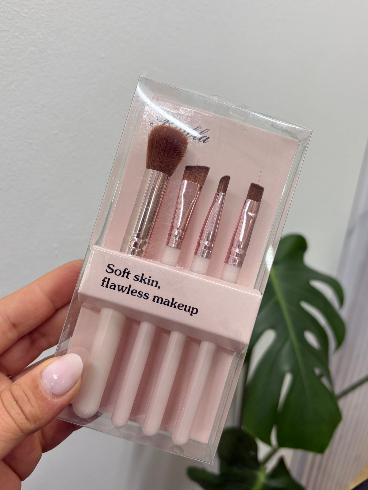 Set de brochas
