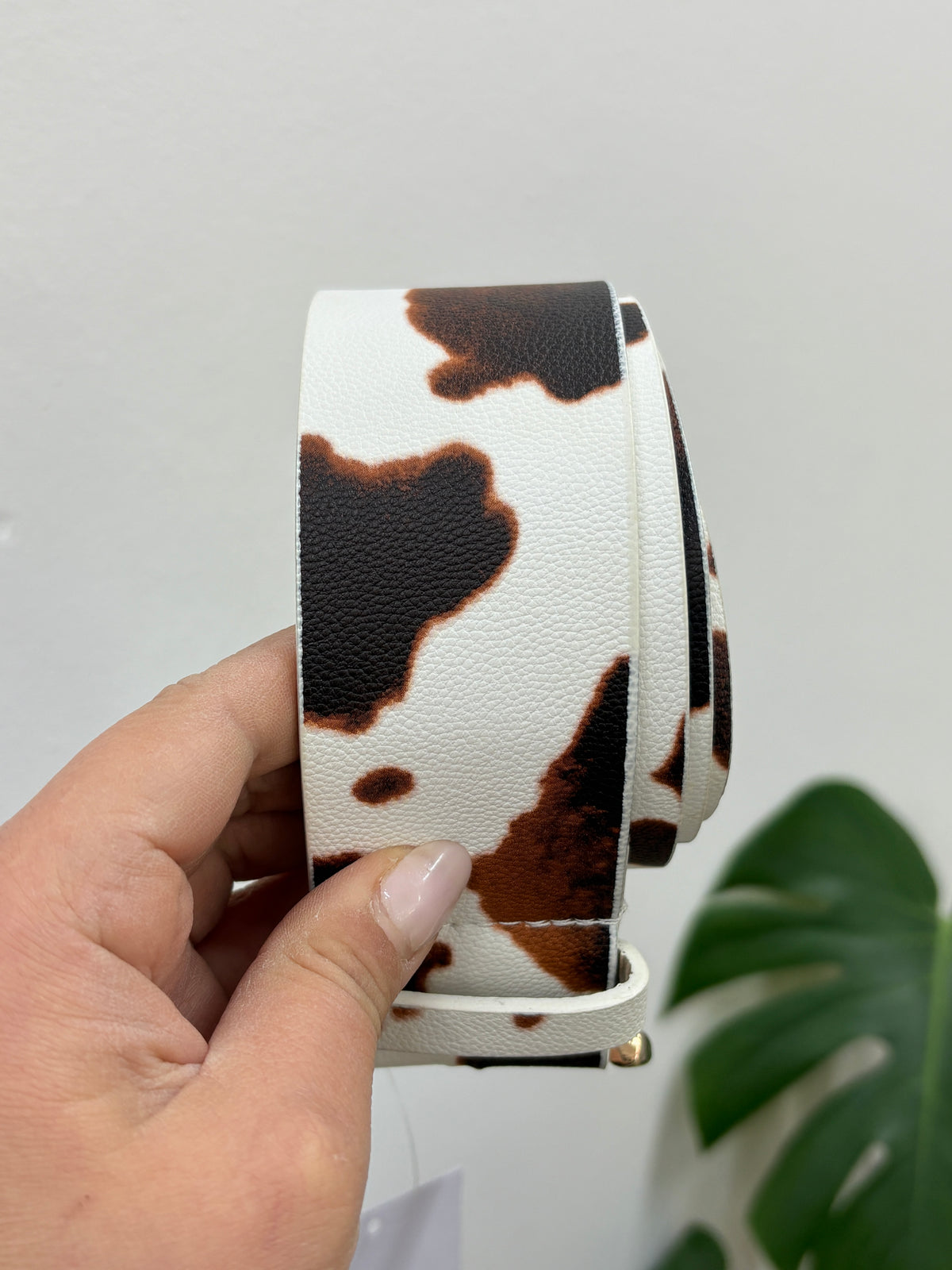 Cinto diseño vaca