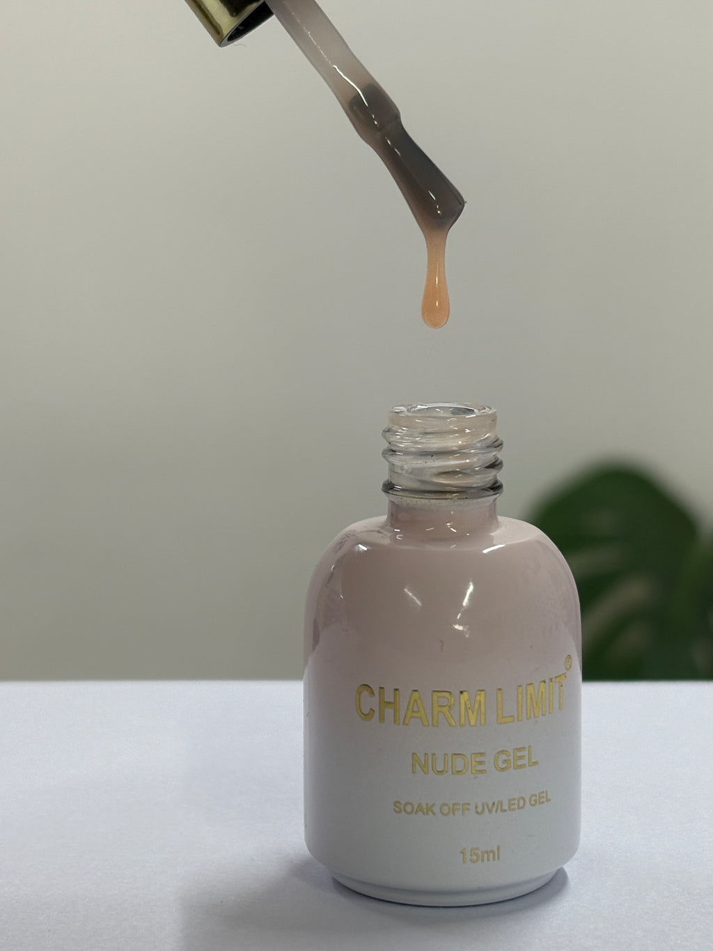 Nude Gel CHARM LIMIT 15ml - 01