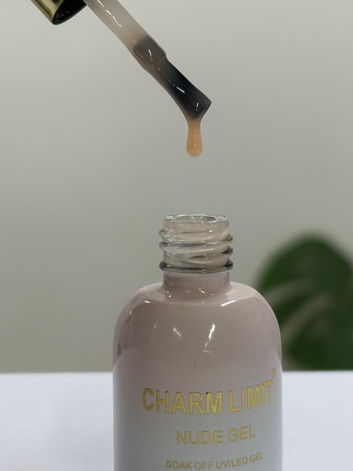 Nude Gel CHARM LIMIT 15ml - 01