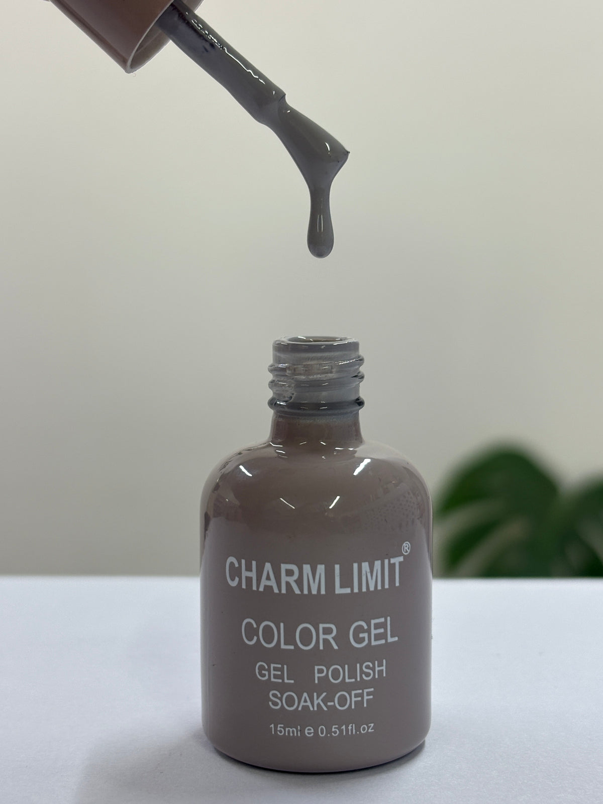 Color Gel CHARM LIMIT 53