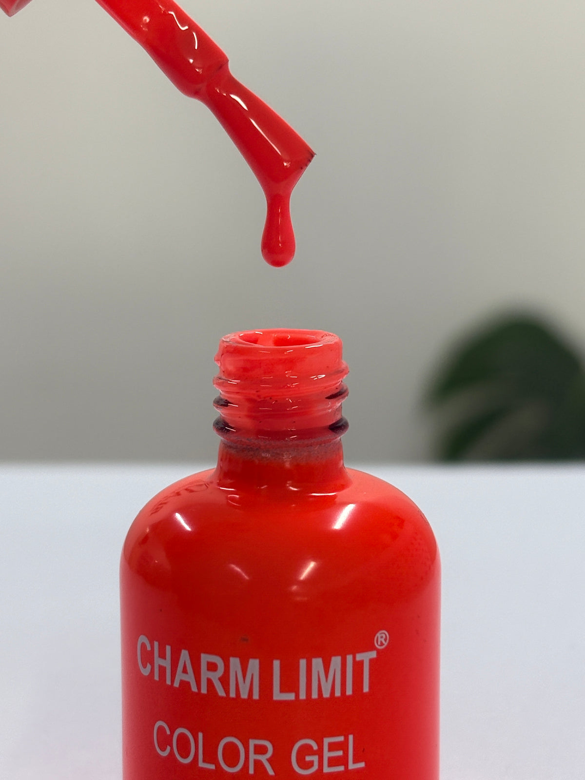 Color Gel CHARM LIMIT 41