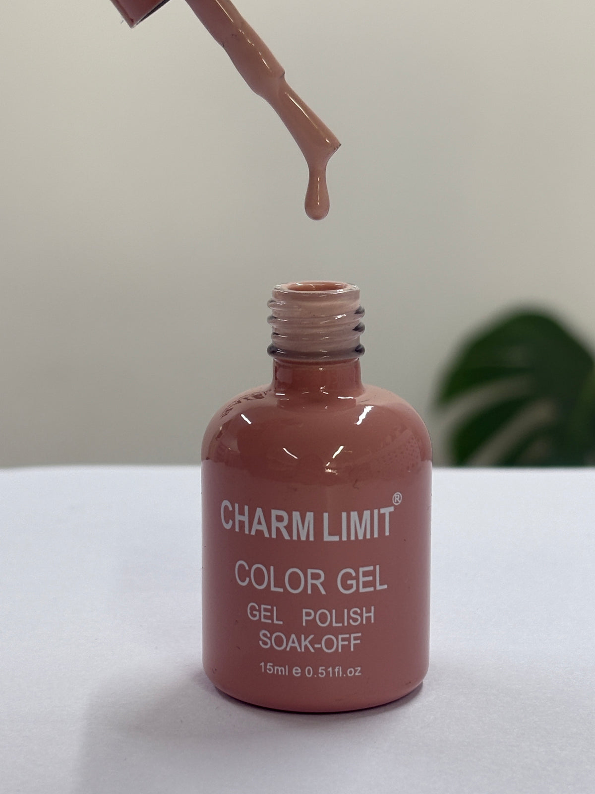Color Gel CHARM LIMIT 25