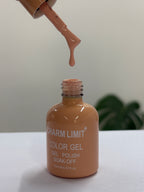 Color Gel CHARM LIMIT 19