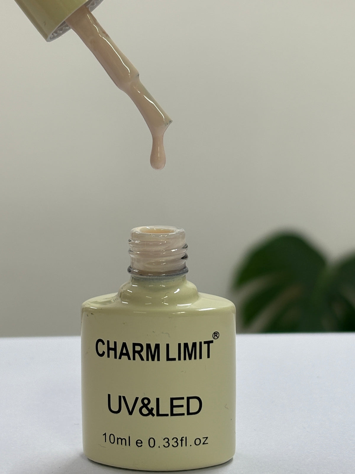 Color Gel CHARM LIMIT 10ml -  97