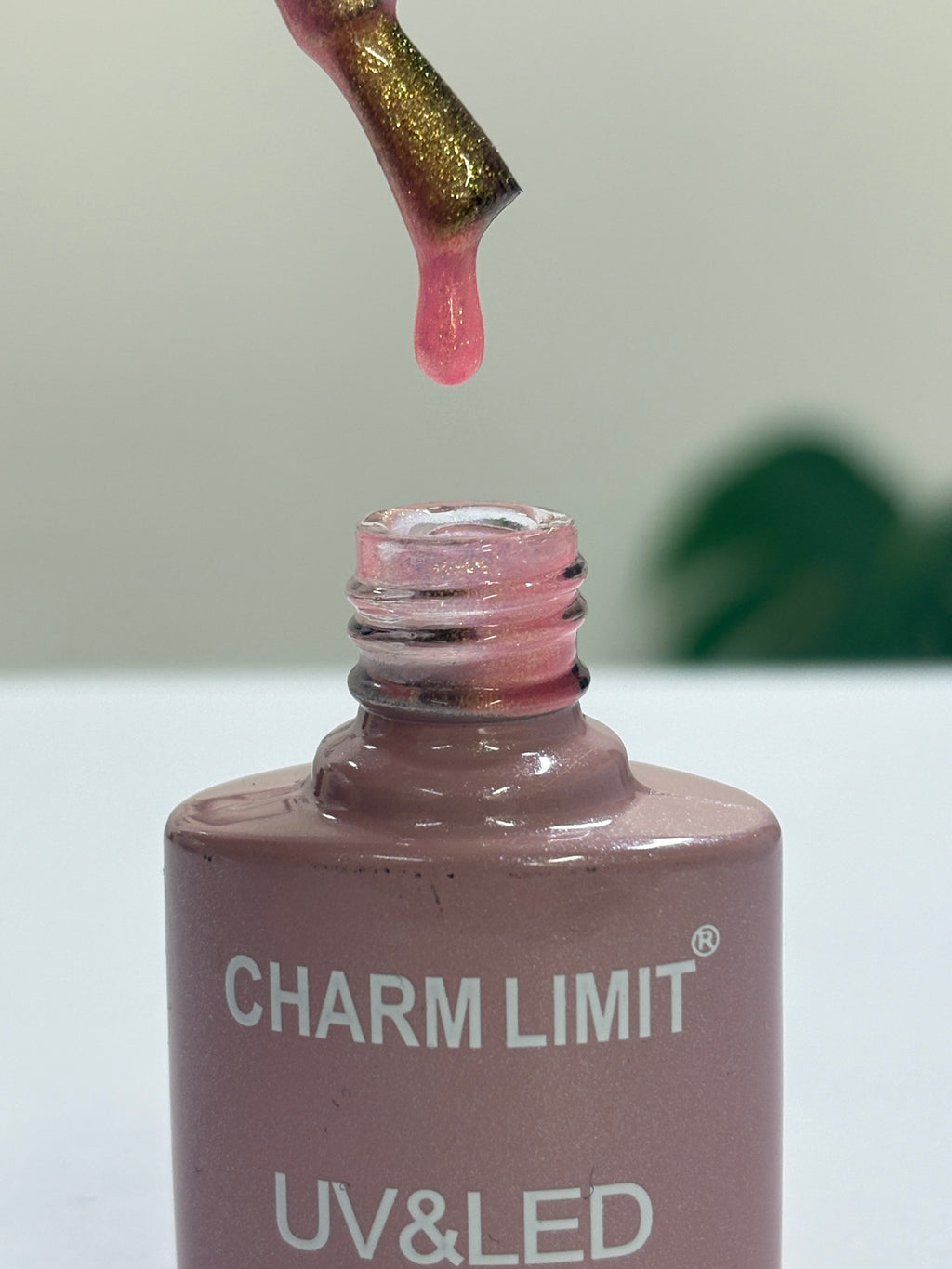 Color Gel CHARM LIMIT 10ml - 32