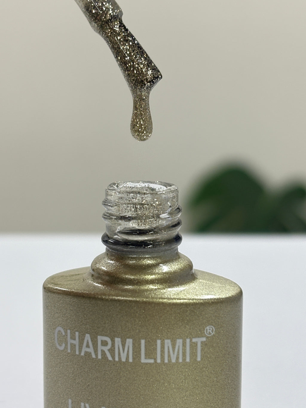 Color Gel CHARM LIMIT 10ml - 31