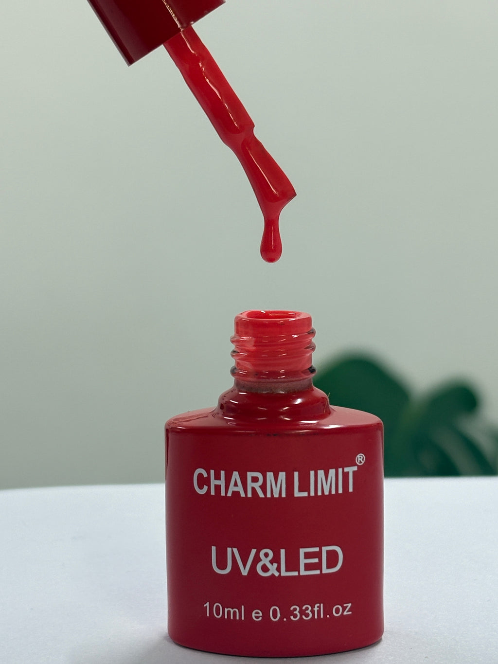Color Gel CHARM LIMIT 10ml - 29