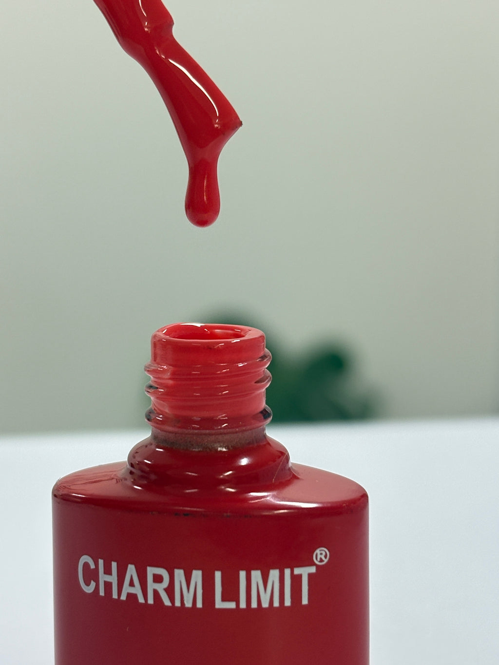 Color Gel CHARM LIMIT 10ml - 29